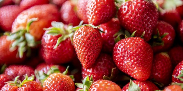 Comment trouver du personnel motivé pour cueillir vos fraises après le Coronavirus ?